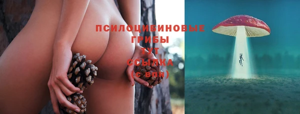 соль ск Няндома