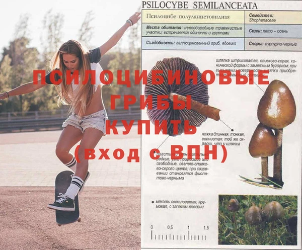 метадон Новокубанск