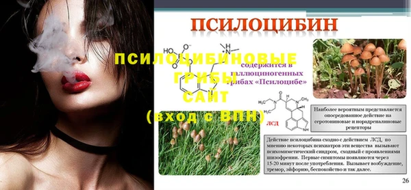 соль ск Няндома