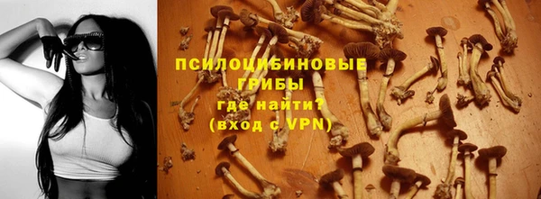 ПСИЛОЦИБИНОВЫЕ ГРИБЫ Нея